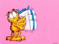 Garfields_Birfday_1.jpg