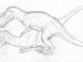 maniraptora-giganotosaurs.jpg