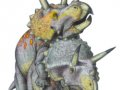 triceratops.jpg