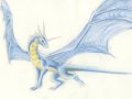 1167590394_drache1.jpg