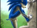 1160757694.zen_sonic_foot.jpg