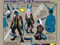 1261460313.ebonyleopard_shadowstalker_modelsheet.jpg