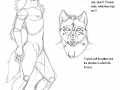 My_Anthro_Werewolf_by_NightWolf4394.png