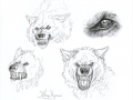 Werewolves_II_by_wolf_wind.png