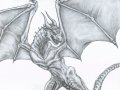 Dragon_by_Typhoon89.jpg