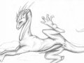 EmberGryphon_Dragonsketch.jpg