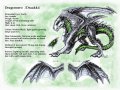 Draakki_Character_Sheet_by_dragomero.jpg