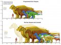 Pern_Dragon_Sizes_by_bronze_dragonrider.jpg