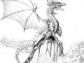 dragondrawn039.jpg