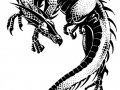 dragondrawn048.jpg