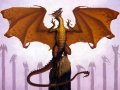 dragon0648.jpg