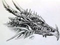 Dragon_by_siby.jpg