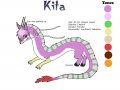 Kita_Reference_Sheet_by_ChocoboDragon.jpg