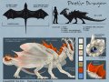 PoeticDragonModelsheet.jpg