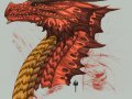 Red_Dragon_Head_Side_view_by_Tarjcia.jpg