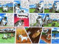 Sasha_and_Rover_pg_2_by_DarkDragon774.jpg