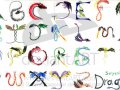 Serpent_Dragon_Alphabet_by_SabrielDragonkin.jpg