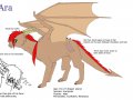 Ara_Reference_Sheet_by_ChocoboDragon.jpg