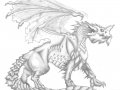 Blue_dragon_by_MemoKicus.jpg