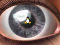 linuxeye.jpg