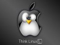 think_linux.jpg