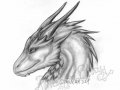 A_dragoness__by_Eva_the_DragonLady.jpg