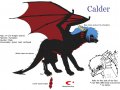 Calder_Reference_Sheet_by_ChocoboDragon.jpg