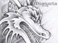 DRAGARTA_9637e2567.jpg