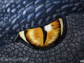 Dragon_Eye_by_DrakainaQueen.jpg