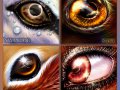 Eye_con_Commissions_4_by_TheNeonGryphon.jpg