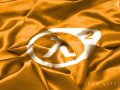 Half_Life_2_Flag_by_CYG.jpg