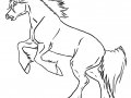 Horse_Lung___Lineart_by_Rookie_renagade.jpg