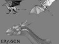 eragon3dmodel6qm.jpg