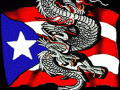 Latino-Dragon-Logo-Index.gif