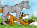 FoxHump-color.jpg