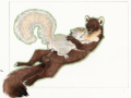 1360165195.urbanhermitdunfor_martensquirrel09tsc.png