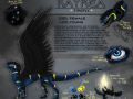 character_sheet__kayrea_2014_by_kayrea-d7owtd6.png