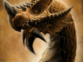 Yellow_dragon_by_uncle91.png