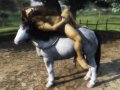 1224731327.corwyn_crw-horseback_pleasures_web1024.jpg