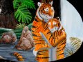 1229442711.eosfoxx_junglecats_tigers.jpg