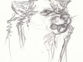 Disgruntled_Kierrn_by_thornwolf.jpg