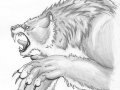 Forath___Werewolf_Game_by_ignus.jpg