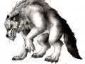 dog-werewolf_thumb.jpg
