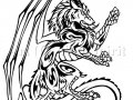 Dragon_Wolf_Tattoo_Design_by_WildSpiritWolf.jpg
