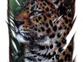Jaguar_on_Feather_by_lenzamoon.jpg