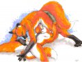 foxes02.jpg