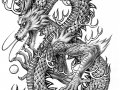 Chinese_Dragon_by_NOT_AN_ANGEL.jpg