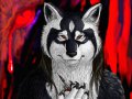 Wolf557_by_Lileth.jpg