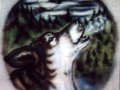 wildlifewolf2.jpg