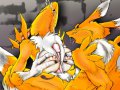 s_1188272697158_Renamon_TJ.jpg